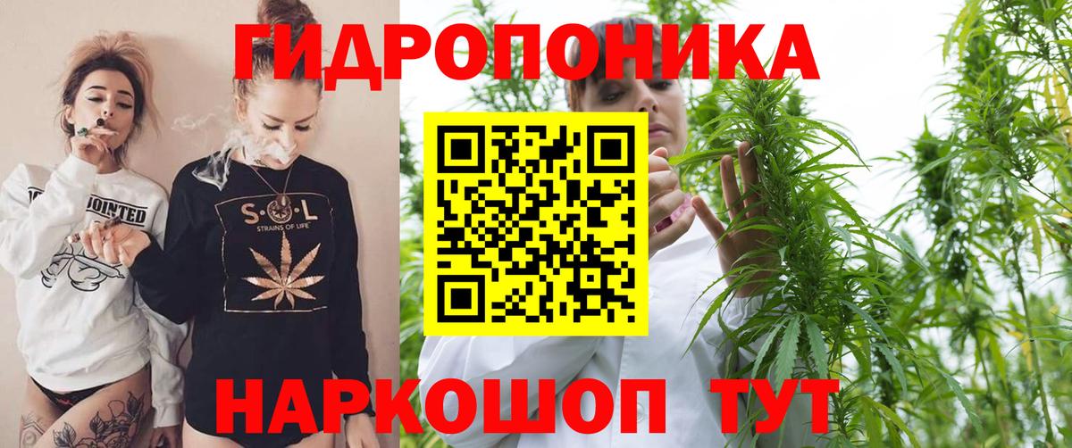Краснодар  Конопля ГИДРОПОН  Вход с VPN  МАРИХУАНА семена 